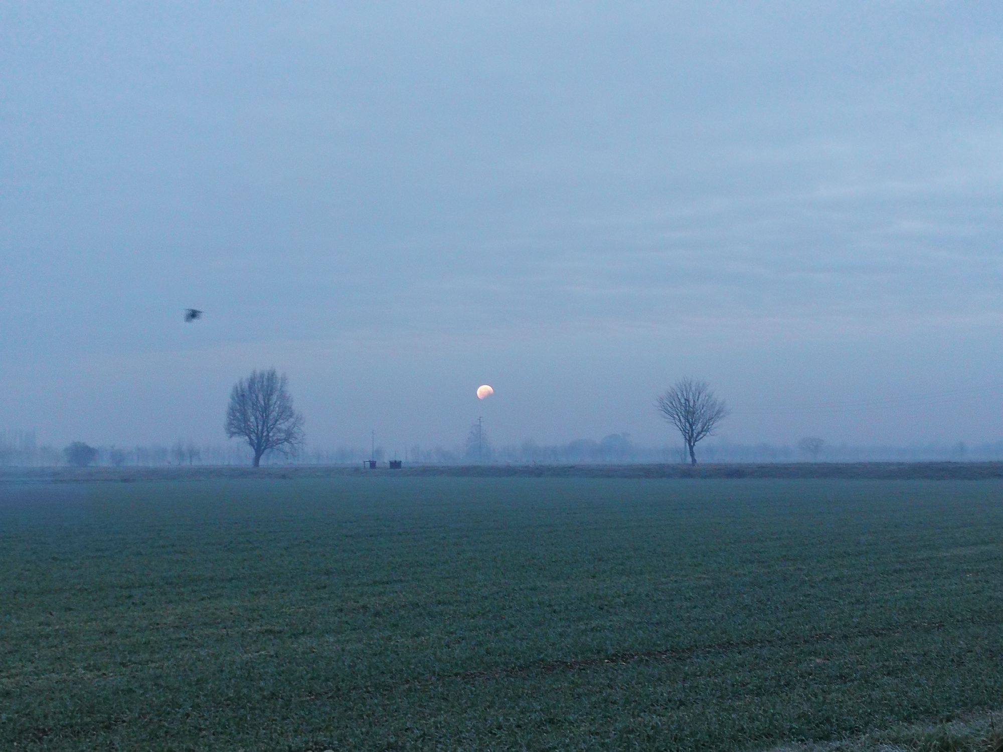 Eclissi di Luna