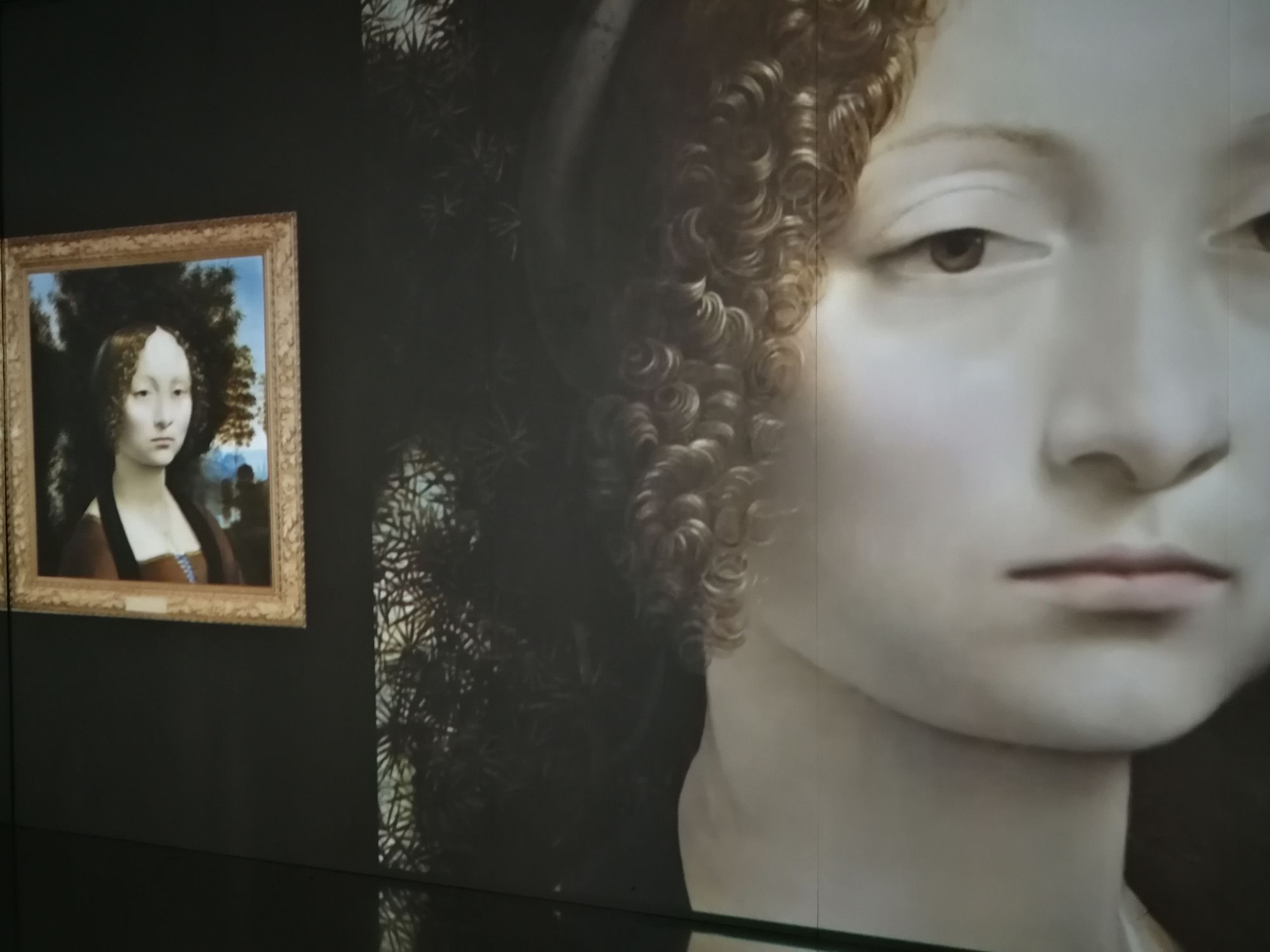 Da Vinci Experience